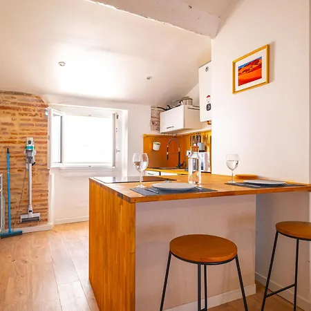 Les Du Castillet Apartment Perpignan